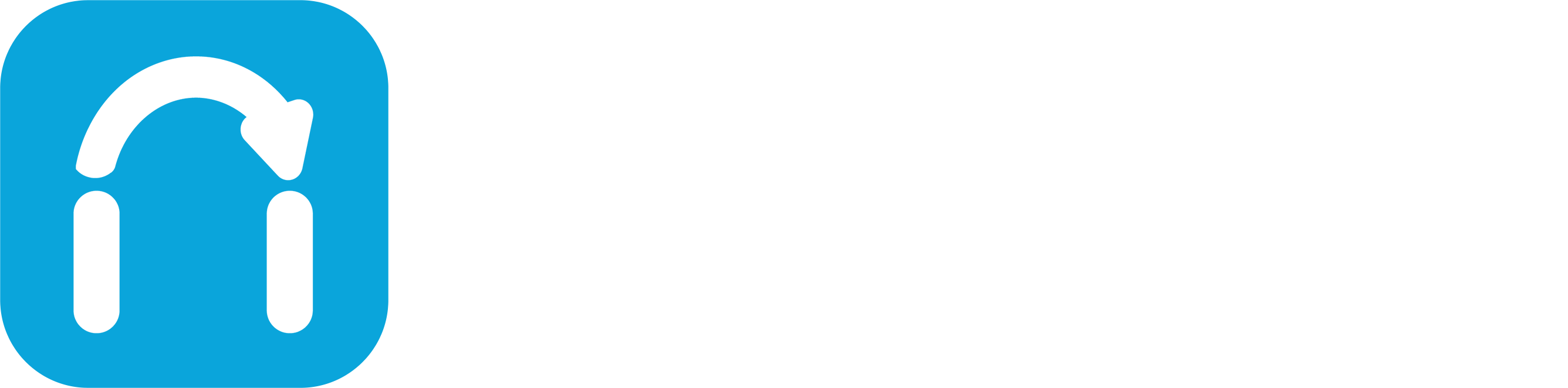 Nippy Logo